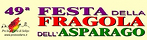 Festa della Fragola e dell'Asparago